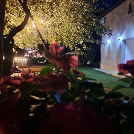 Rooms Lida & Friendly Home Плав Экстерьер фото