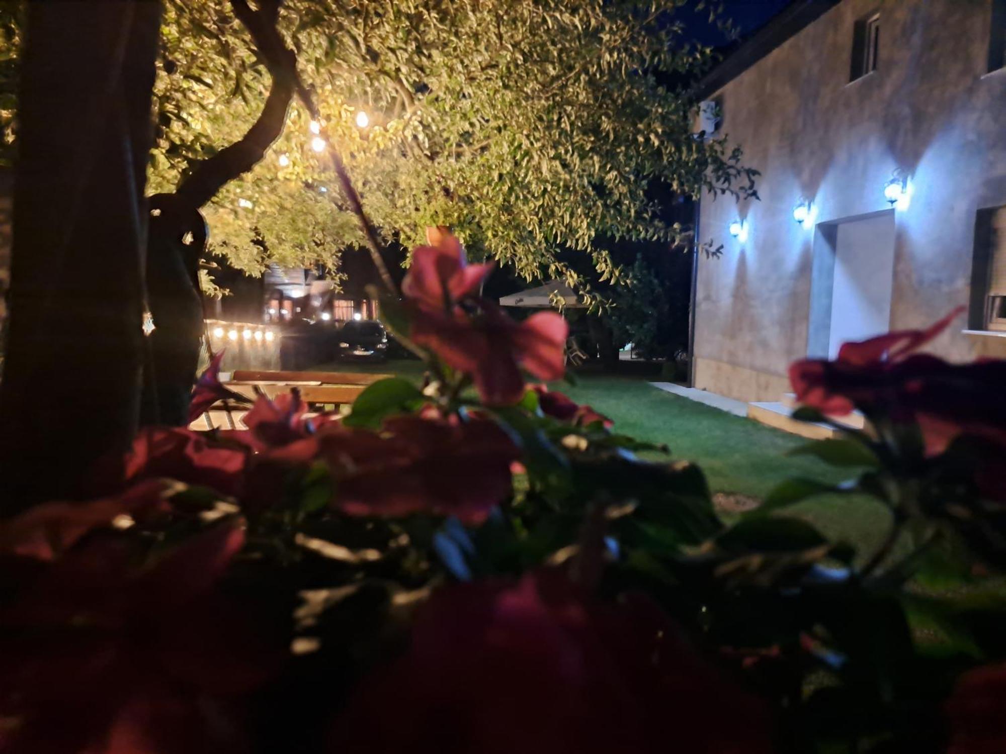 Rooms Lida & Friendly Home Плав Экстерьер фото